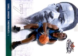 2001-02 Fleer Force #100 Terrell Brandon